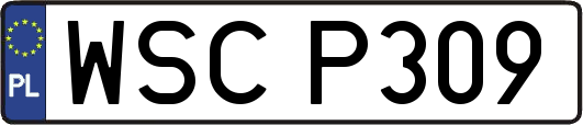 WSCP309