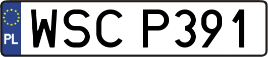 WSCP391