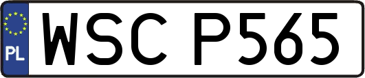WSCP565