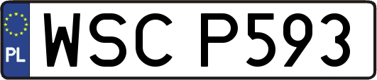 WSCP593