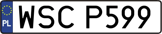 WSCP599