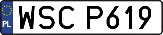 WSCP619