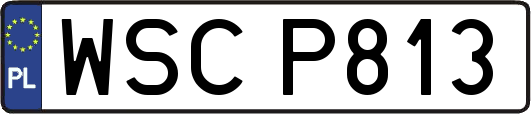 WSCP813