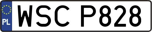 WSCP828