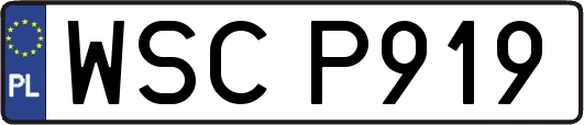 WSCP919