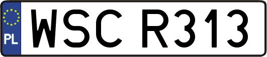 WSCR313