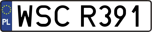 WSCR391