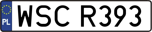 WSCR393