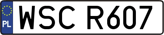 WSCR607