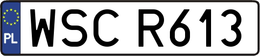 WSCR613