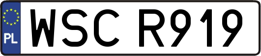 WSCR919