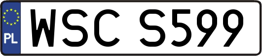 WSCS599