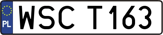 WSCT163