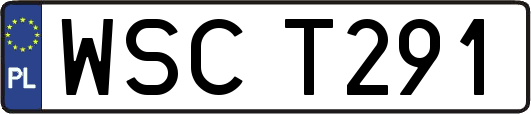WSCT291