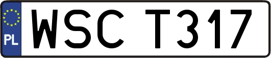 WSCT317