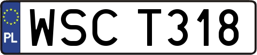 WSCT318