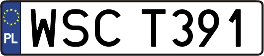 WSCT391