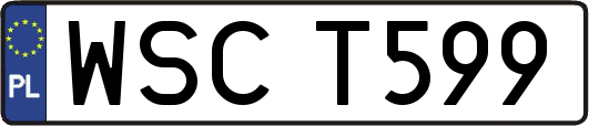 WSCT599