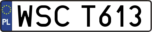 WSCT613