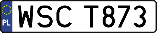 WSCT873