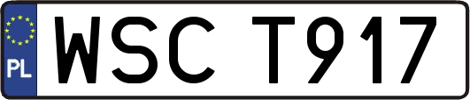 WSCT917