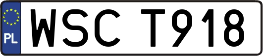 WSCT918