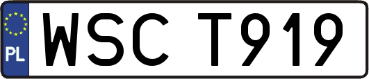WSCT919