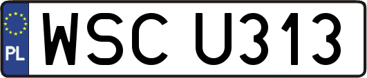 WSCU313