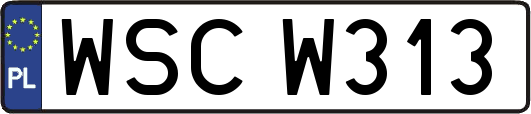 WSCW313