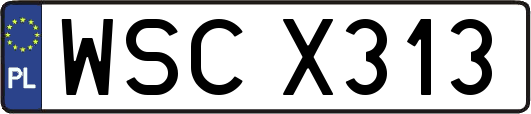 WSCX313