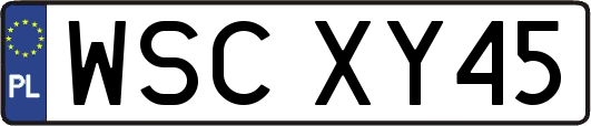 WSCXY45