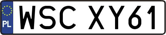 WSCXY61