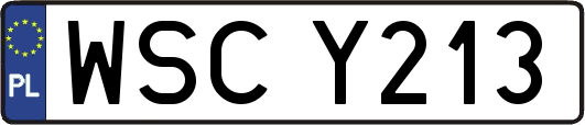 WSCY213
