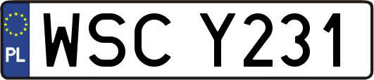 WSCY231