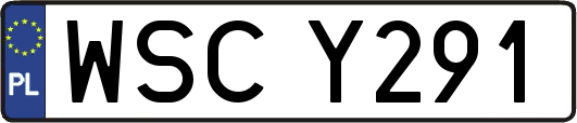 WSCY291