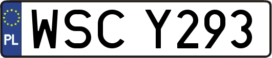 WSCY293