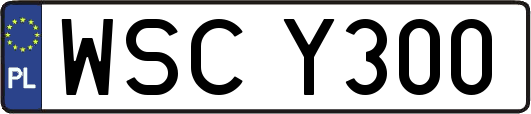 WSCY300