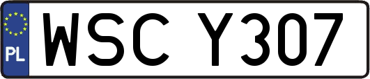 WSCY307