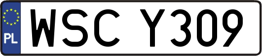 WSCY309