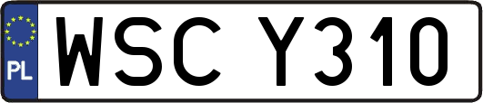 WSCY310