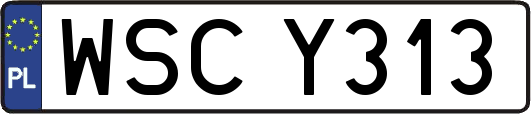 WSCY313