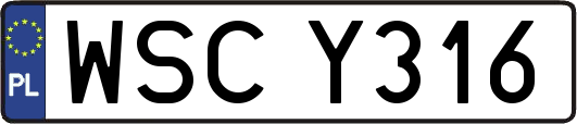 WSCY316