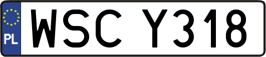 WSCY318