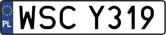 WSCY319