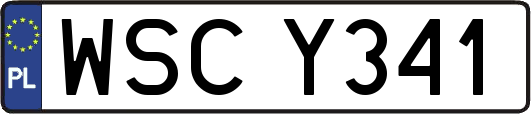 WSCY341