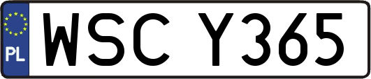 WSCY365