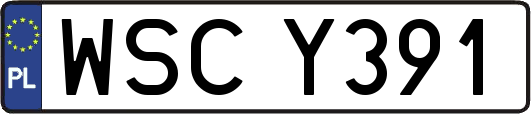 WSCY391