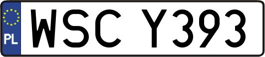 WSCY393