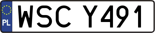 WSCY491