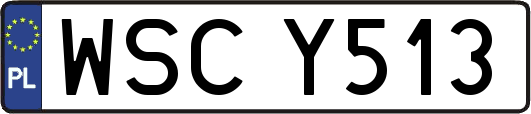 WSCY513